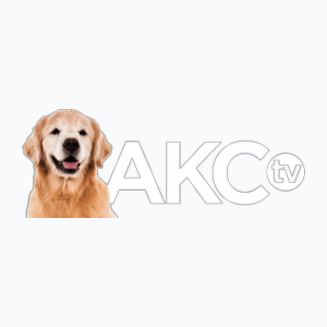 AKC TV Meet The Breeds