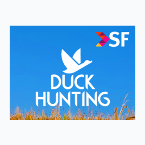 Duck Hunting TV (1080p)