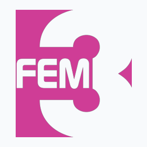FEM3