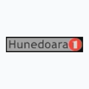 Hunedoara 1 (480p) [Not 24/7]