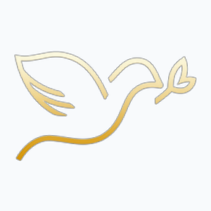 Lighting Lives Blessing Nations TV Chinese (LLBN) (480p)
