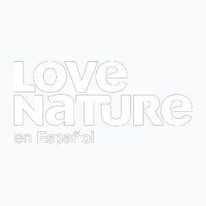 Love Nature en Espanol (1080p) [Geo-blocked]